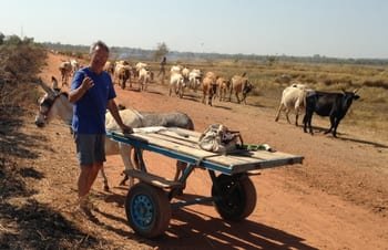 Driving the herd